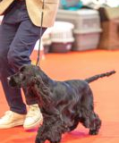 senza-titolo-136