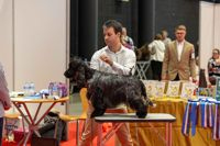 senza-titolo-224