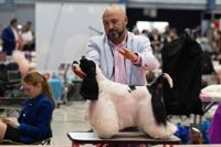 senza-titolo-239