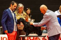 senza-titolo-458