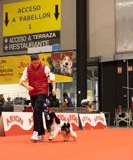 senza-titolo-477