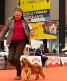 senza-titolo-489