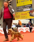senza-titolo-490