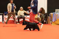 senza-titolo-572