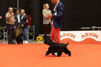 senza-titolo-585